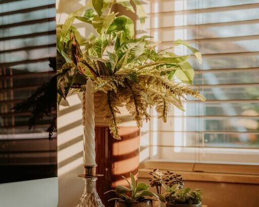resized_130428